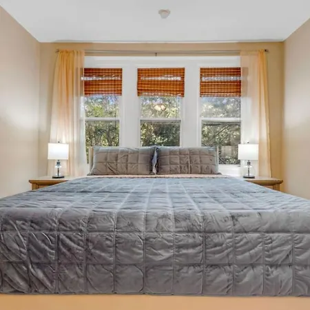 New The Wycliff House. Oak Lawn Walkers Paradise